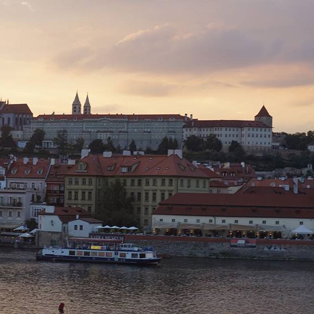 14063412_238499139884276_323757047_n