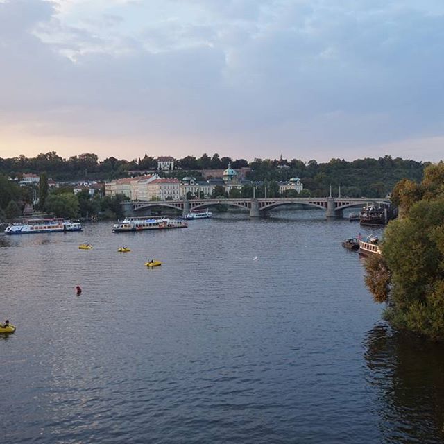 14072941_172920083135021_1454044513_n