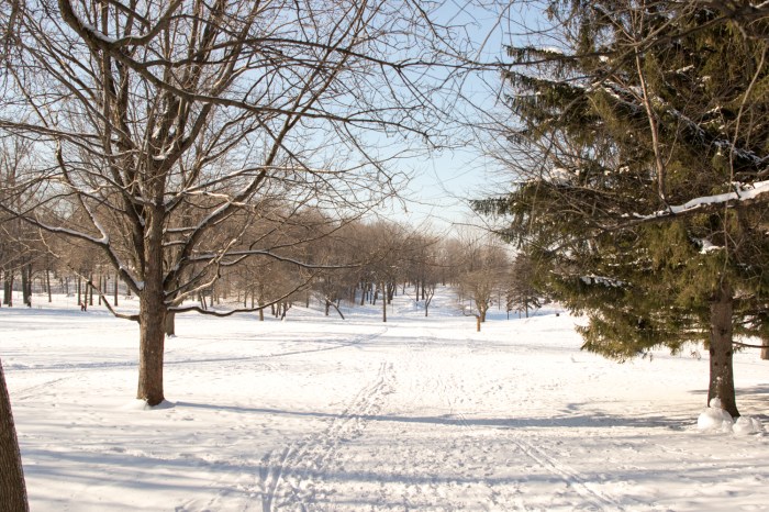 winterwonderland-1-of-1